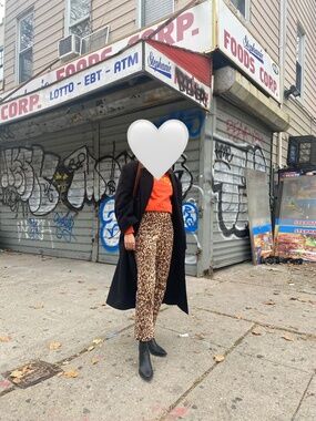 Reformation Marlon Pant in Leopard Print